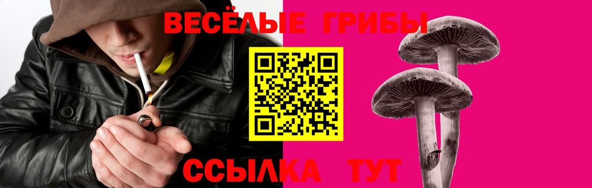 Псилоцибиновые грибы Cubensis Туапсе